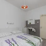 招待所 布拉达斯宾馆 2*